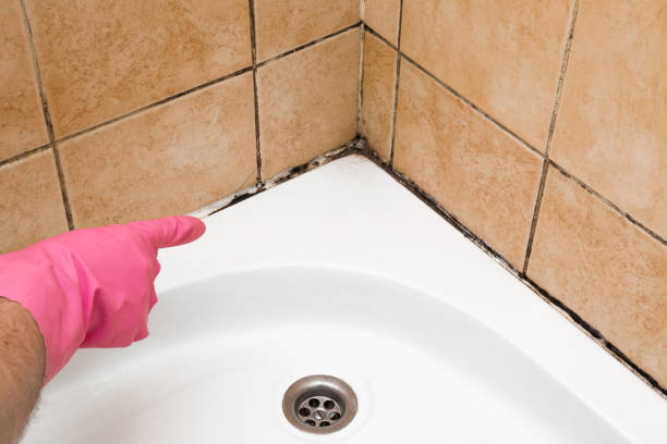 Best Mold Removal Near Me  in Irwin, PA